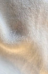 The soft fleece lining of a Thermal Tank by Fleece Chic.